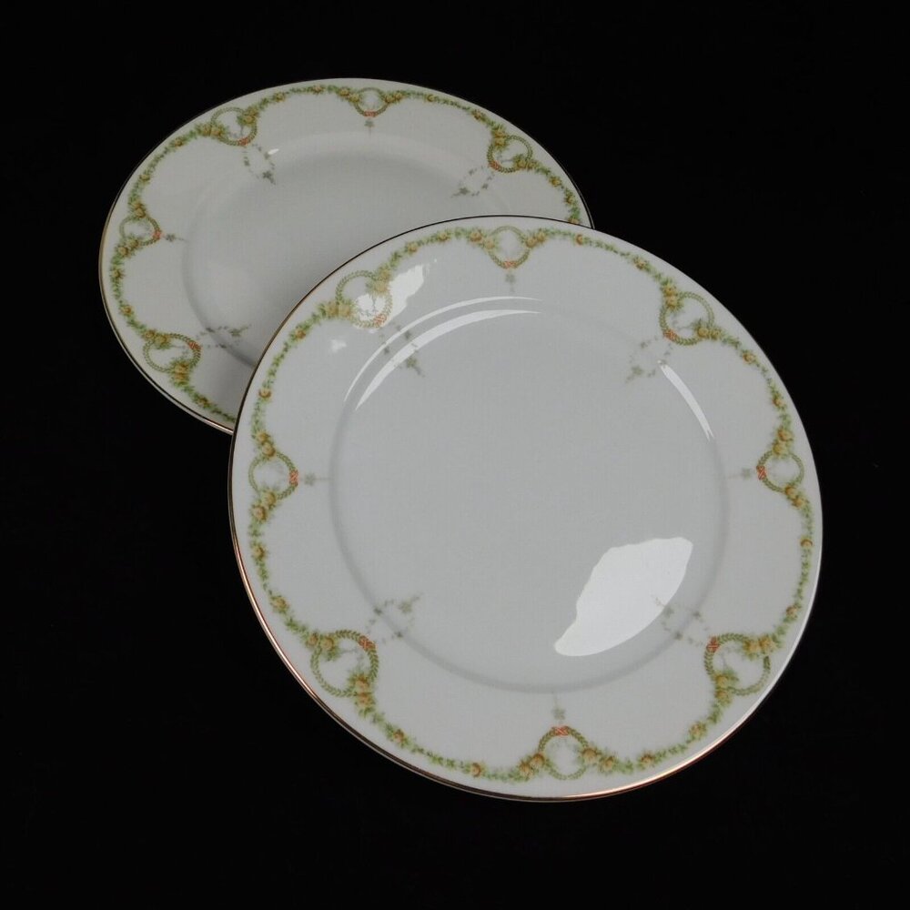 Lot of 2 Rosenthal Briar Rose Luncheon Plate 9 1/8" Fine China Vintage Germany